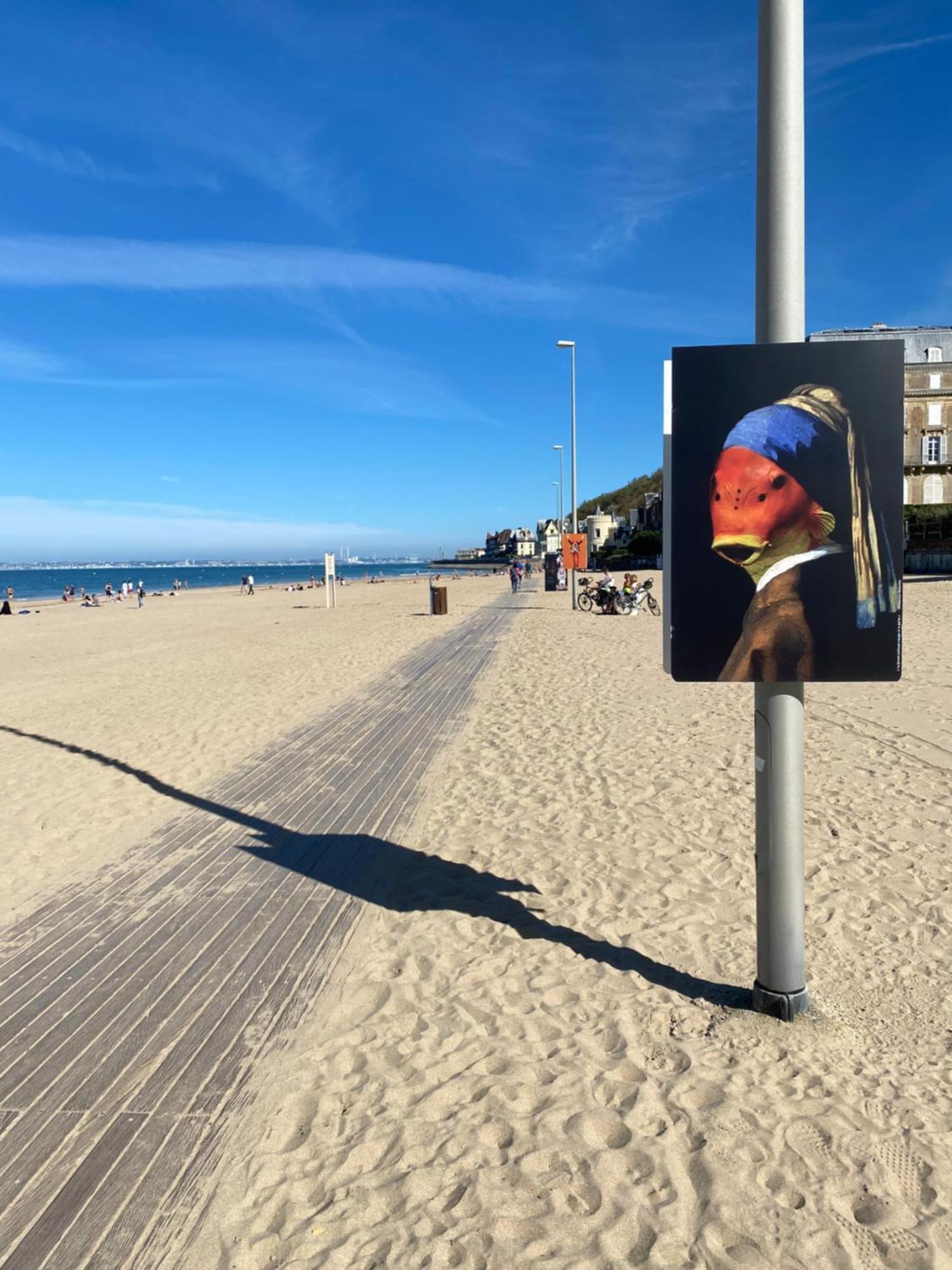Cote Plage - Magnifique Appartement De Charme A Trouville Sur Mer - Linge - Lit Fait - Parking - Wifi - Classe Par L'Office Du Tourisme Екстер'єр фото